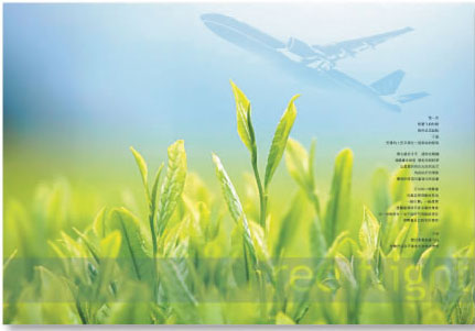 ������OӋ